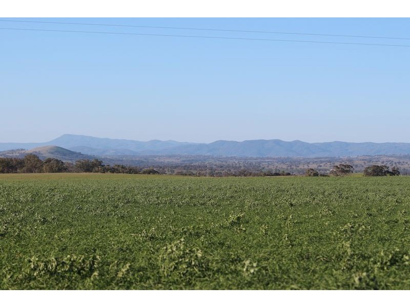 “Hillcrest” Gowrie Road, Tamworth NSW 2340