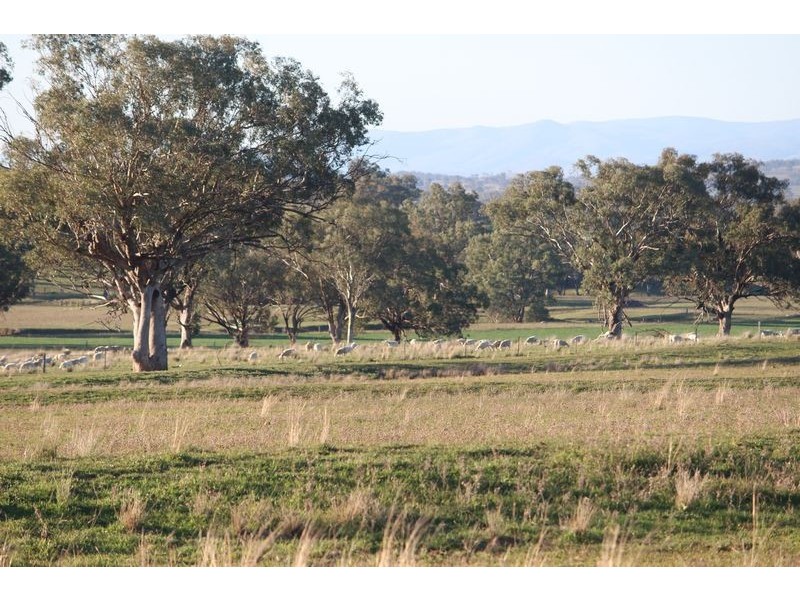 “Hillcrest” Gowrie Road, Tamworth NSW 2340