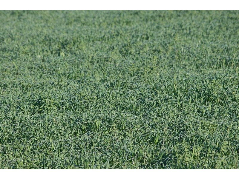 “Hillcrest” Gowrie Road, Tamworth NSW 2340