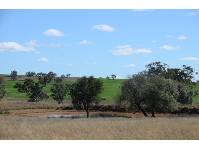 “Keelendi” Babbinboon Road, Somerton NSW 2340