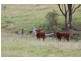 “Kantara”, Upper Horton, Barraba NSW 2347