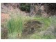 “Kantara”, Upper Horton, Barraba NSW 2347