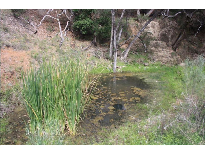 “Kantara”, Upper Horton, Barraba NSW 2347