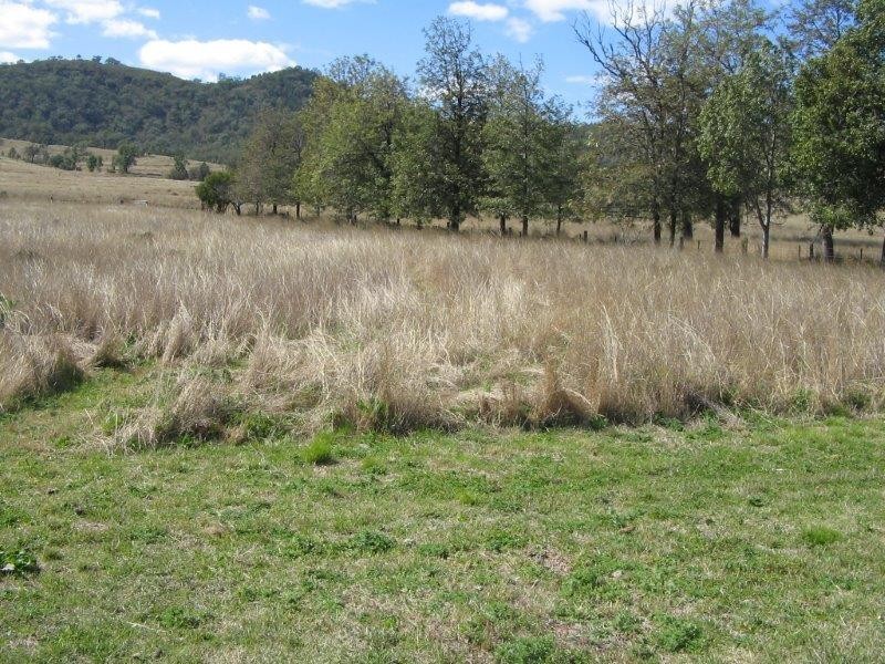 “Kantara”, Upper Horton, Barraba NSW 2347