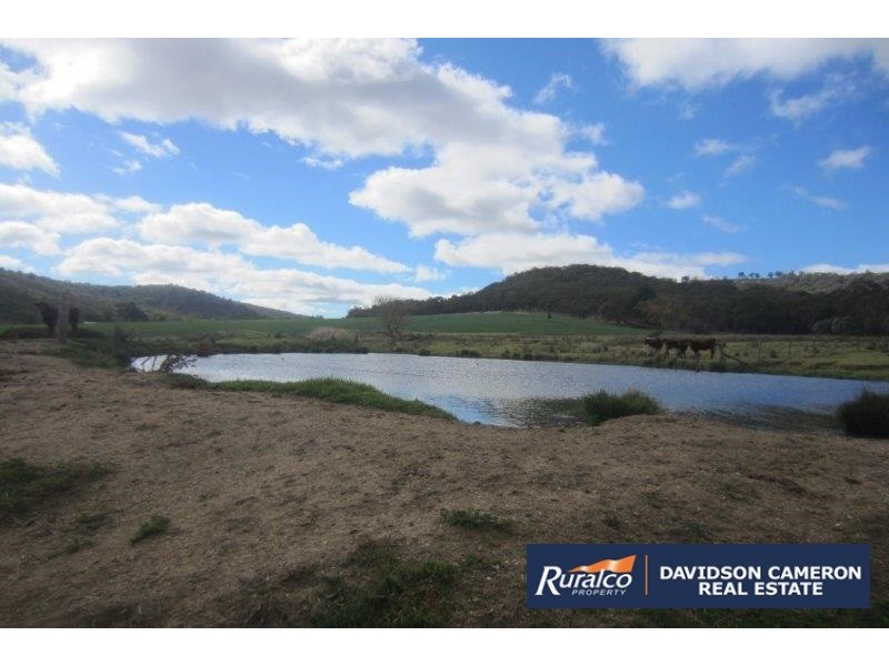 2385 Danglemah Road, Woolbrook NSW 2354