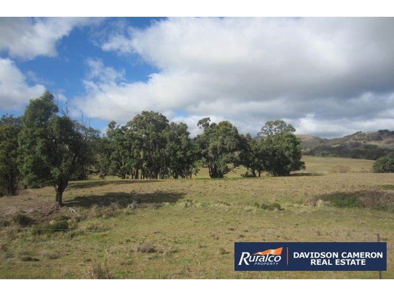 2385 Danglemah Road, Woolbrook NSW 2354