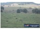 2385 Danglemah Road, Woolbrook NSW 2354
