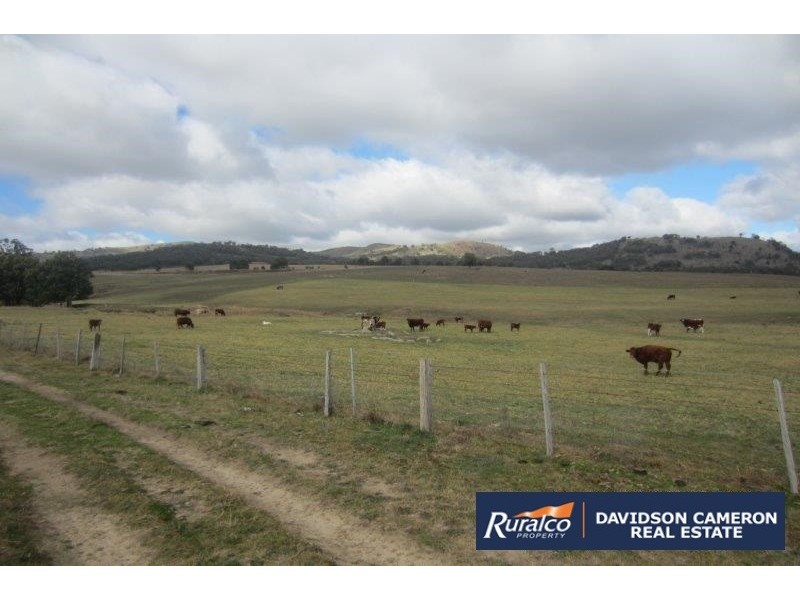 2385 Danglemah Road, Woolbrook NSW 2354