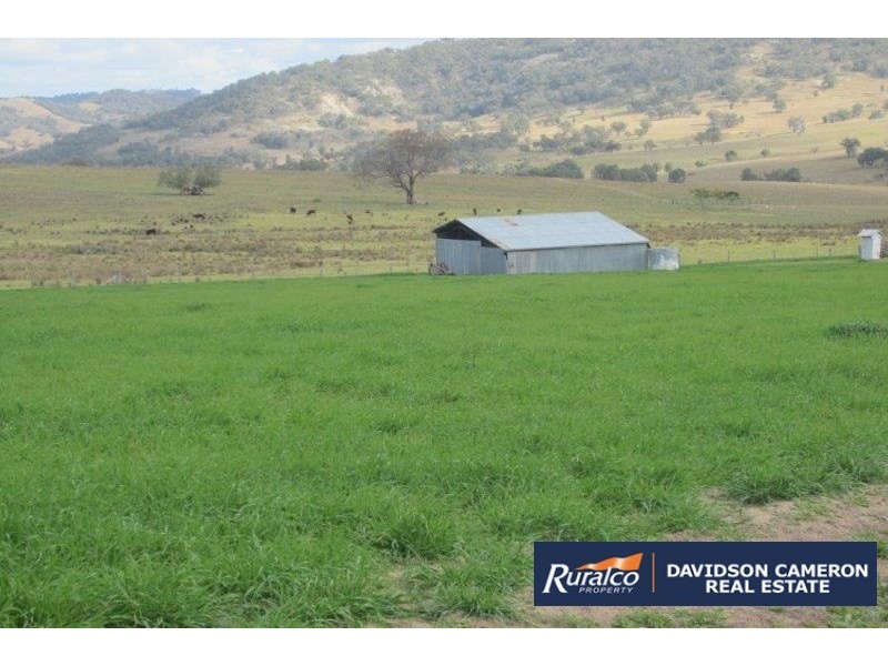 2385 Danglemah Road, Woolbrook NSW 2354