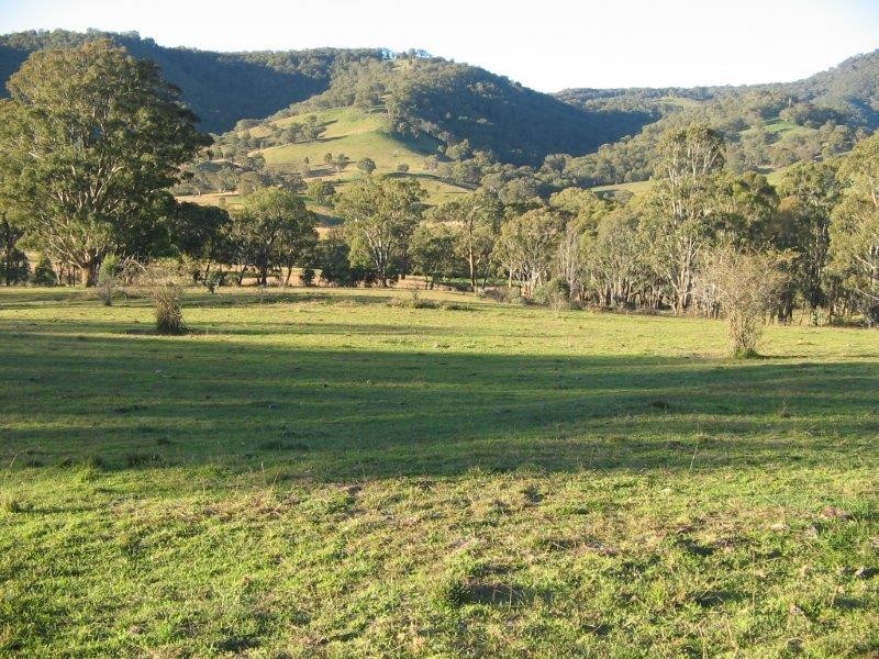 Clarris Park Nundle Creek Road, Nundle NSW 2340