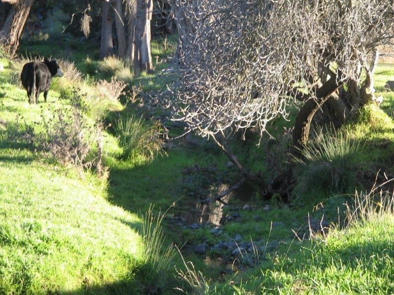 Clarris Park Nundle Creek Road, Nundle NSW 2340