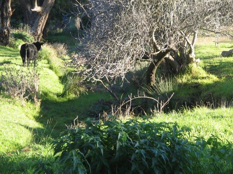 Clarris Park Nundle Creek Road, Nundle NSW 2340