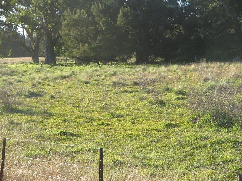 Clarris Park Nundle Creek Road, Nundle NSW 2340