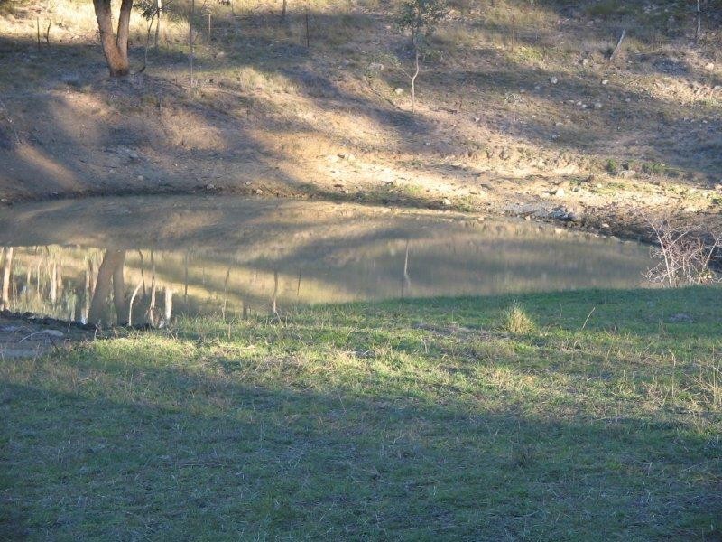 Clarris Park Nundle Creek Road, Nundle NSW 2340