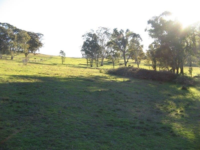Clarris Park Nundle Creek Road, Nundle NSW 2340