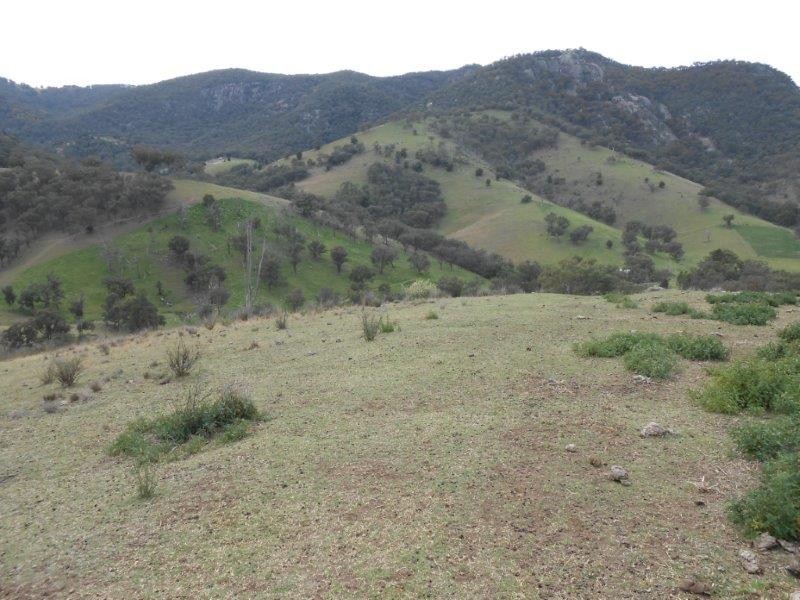 539 Danglemah Road, Tamworth NSW 2340