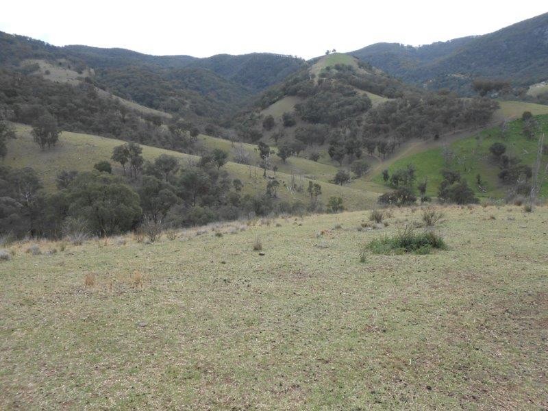 539 Danglemah Road, Tamworth NSW 2340