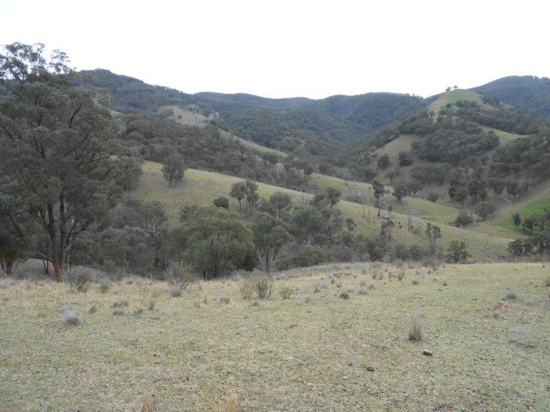 539 Danglemah Road, Tamworth NSW 2340