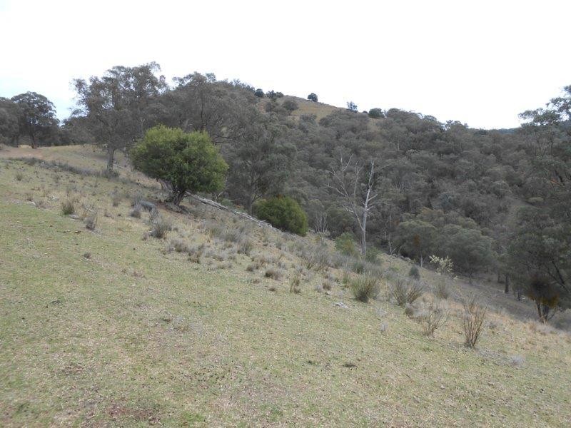 539 Danglemah Road, Tamworth NSW 2340