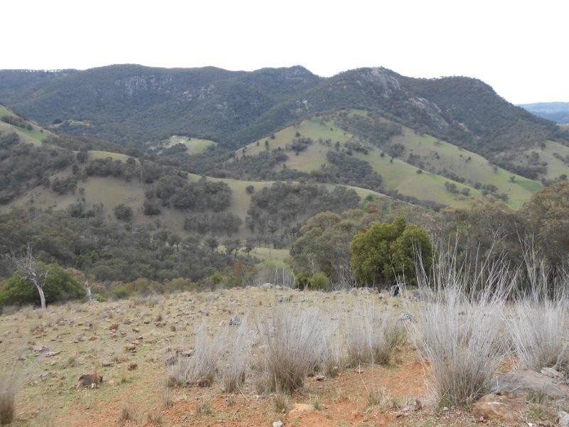 539 Danglemah Road, Tamworth NSW 2340