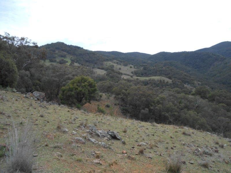 539 Danglemah Road, Tamworth NSW 2340