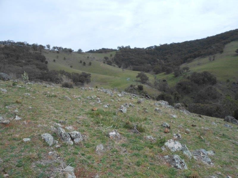 539 Danglemah Road, Tamworth NSW 2340