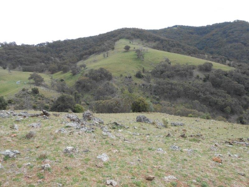 539 Danglemah Road, Tamworth NSW 2340