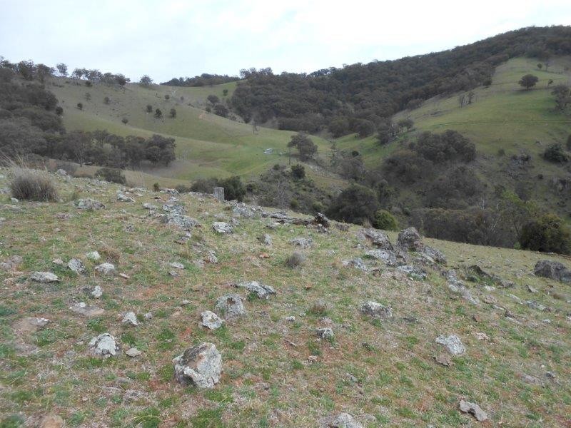 539 Danglemah Road, Tamworth NSW 2340