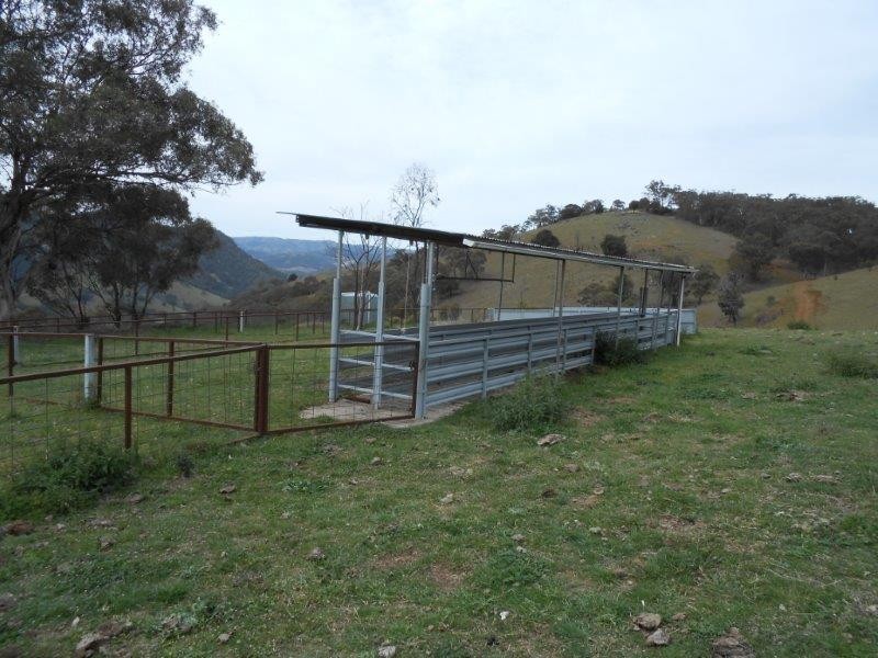 539 Danglemah Road, Tamworth NSW 2340