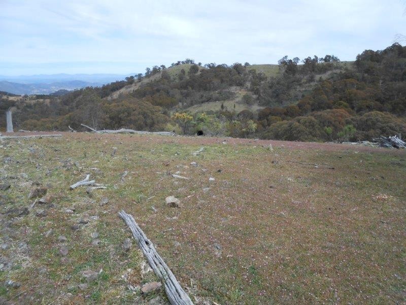 539 Danglemah Road, Tamworth NSW 2340