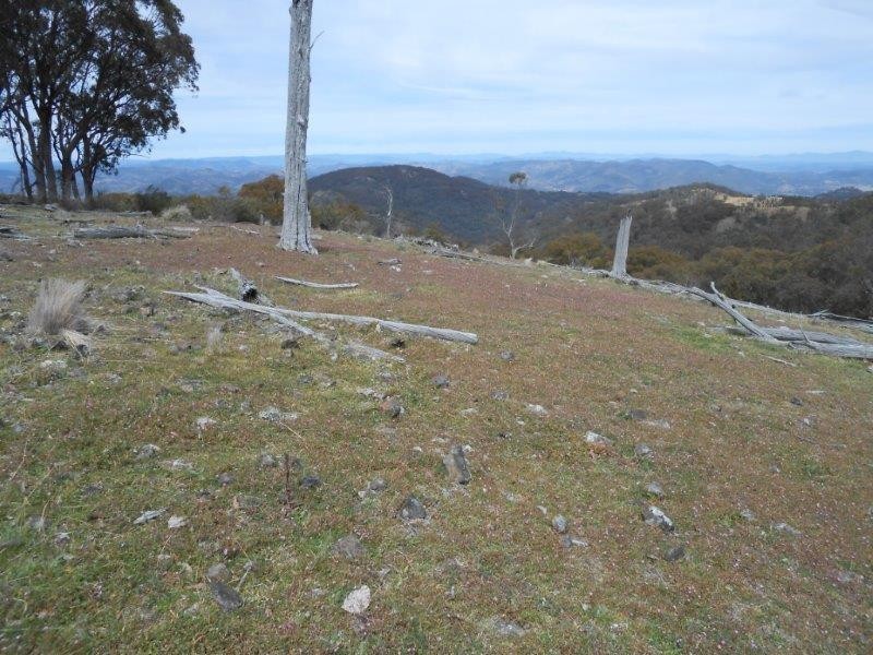 539 Danglemah Road, Tamworth NSW 2340