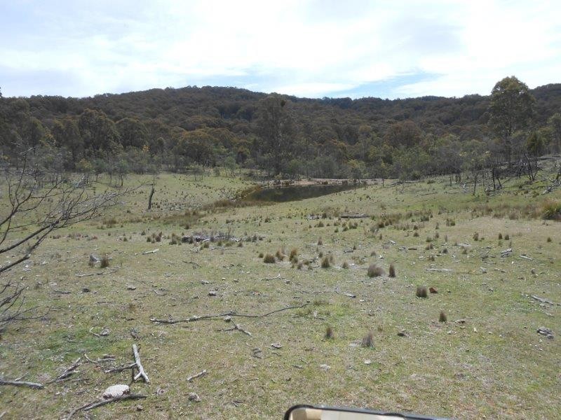 539 Danglemah Road, Tamworth NSW 2340