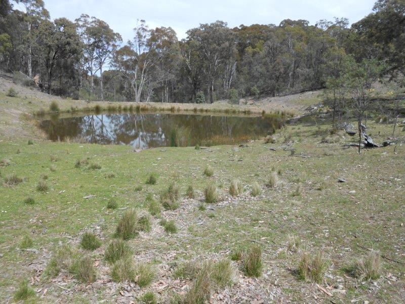 539 Danglemah Road, Tamworth NSW 2340