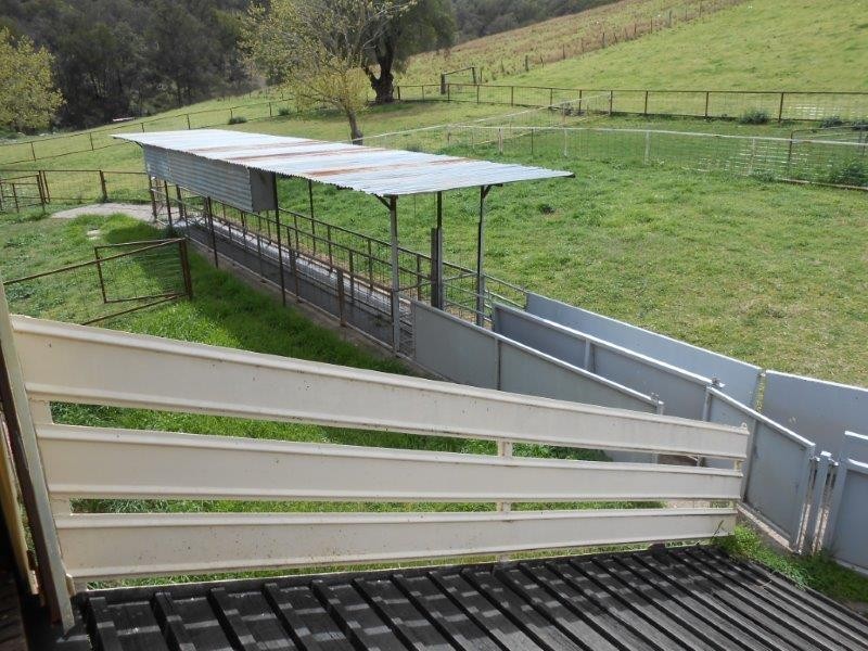 539 Danglemah Road, Tamworth NSW 2340