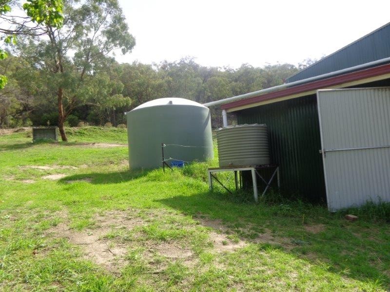 733 New England Gully Road, Tamworth NSW 2340