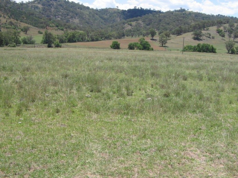 Garthowen NSW 2345