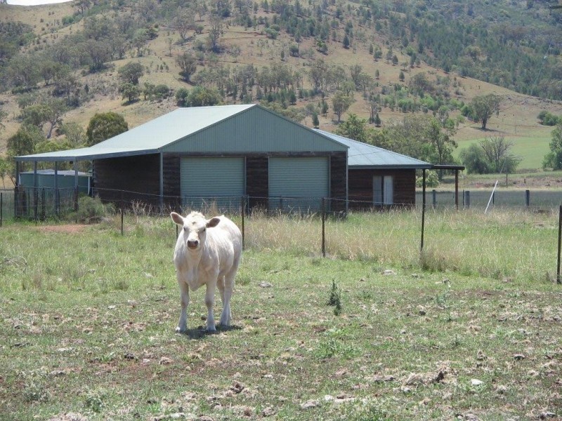 Garthowen NSW 2345
