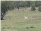 Garthowen NSW 2345
