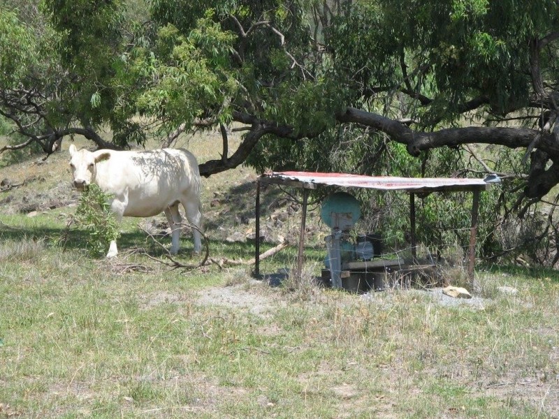 Garthowen NSW 2345
