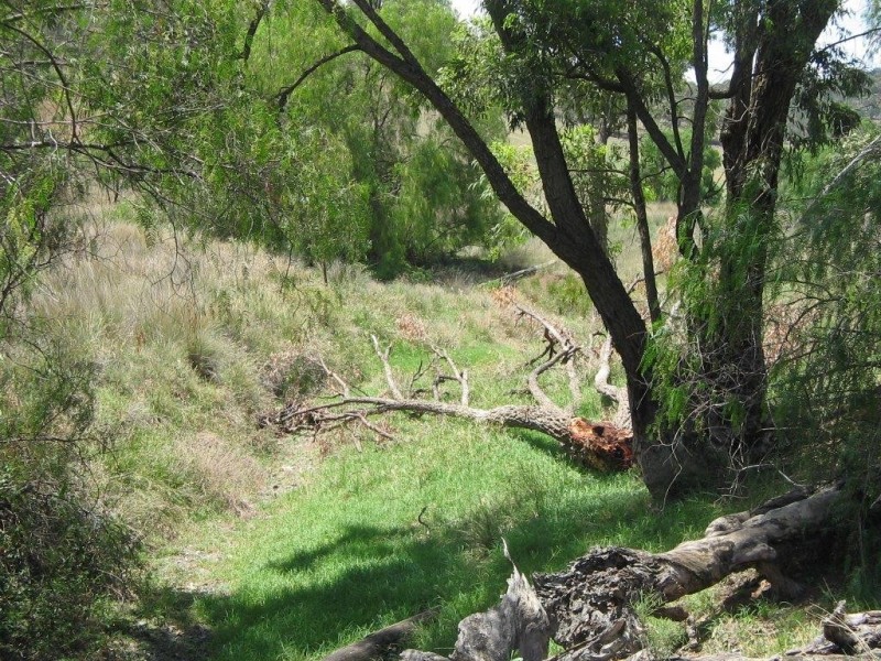 Garthowen NSW 2345