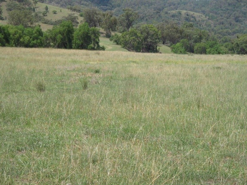 Garthowen NSW 2345
