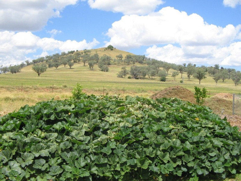 The View Duri-Winton Road, Winton NSW 2344