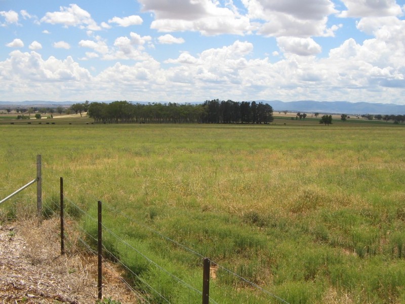 The View Duri-Winton Road, Winton NSW 2344