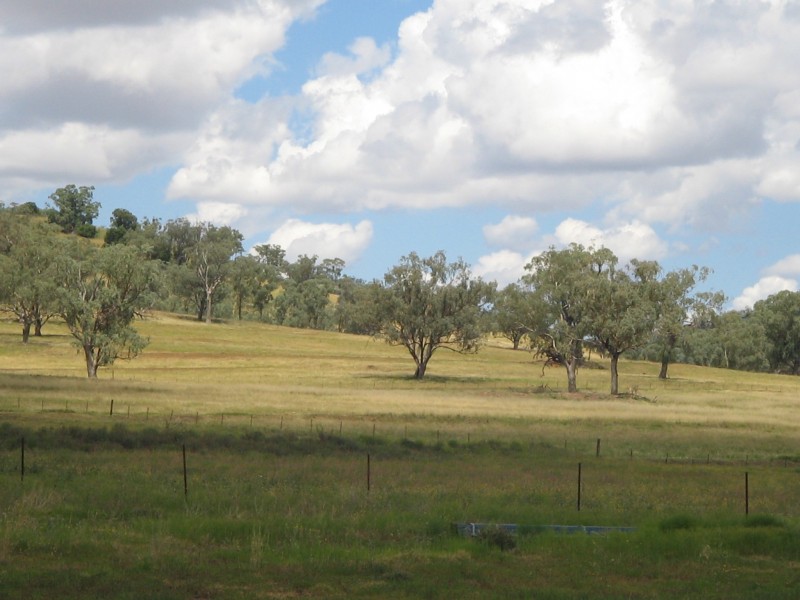 The View Duri-Winton Road, Winton NSW 2344
