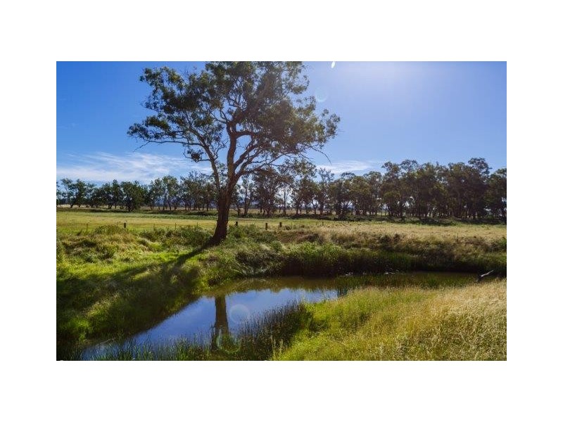 532 Gowrie Road, Duri NSW 2344