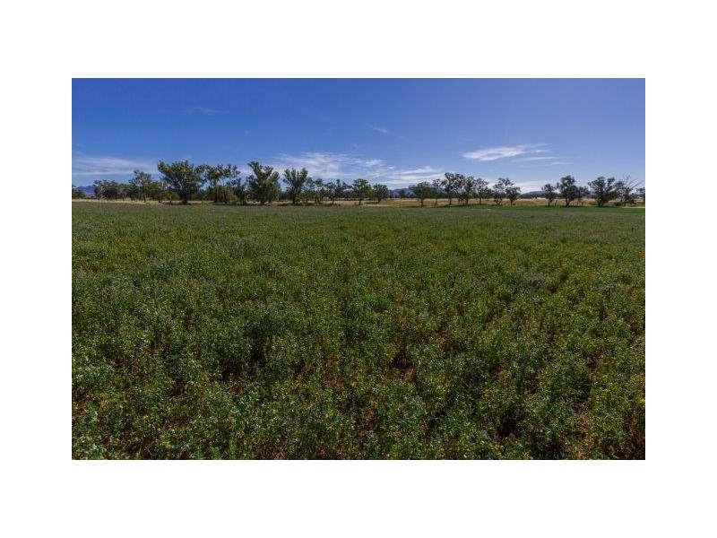 532 Gowrie Road, Duri NSW 2344