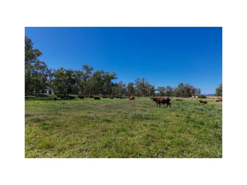 532 Gowrie Road, Duri NSW 2344