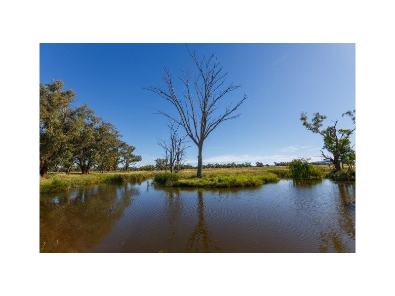 532 Gowrie Road, Duri NSW 2344