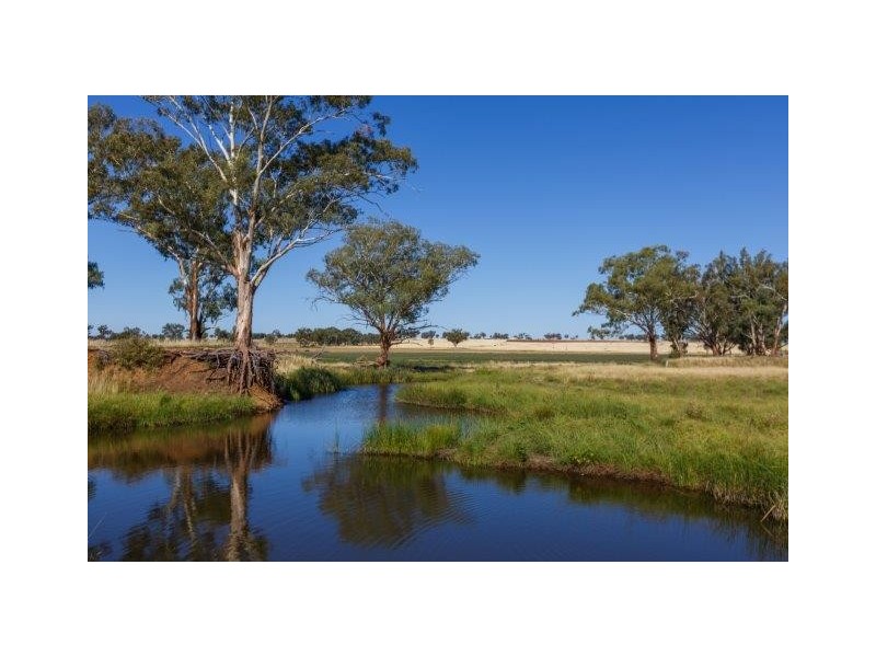 532 Gowrie Road, Duri NSW 2344