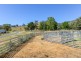 844 Duncans Creek Road, Woolomin NSW 2340